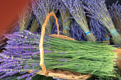 0FA78CC6-B651-4675-94B8-9327F7EA4CFA